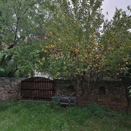 Large Stone With Garden. * Avlonarion