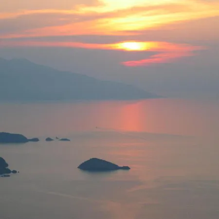 Willa Large Stone With Garden.