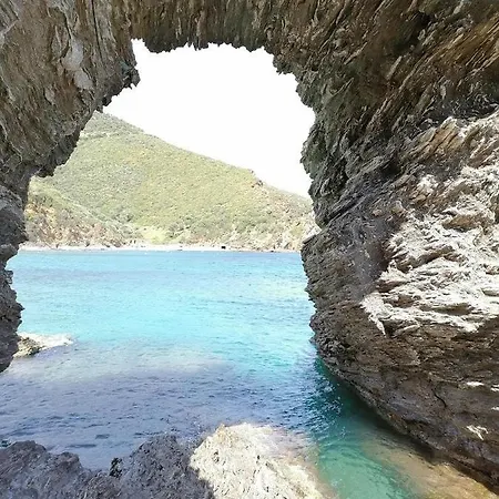 Large Stone With Garden. *