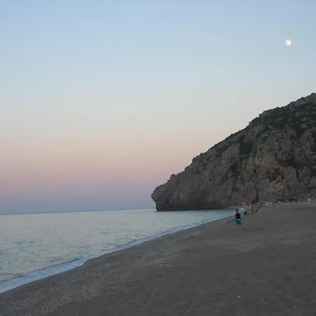 Willa Large Stone With Garden. *