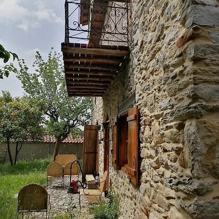 Large Stone With Garden.