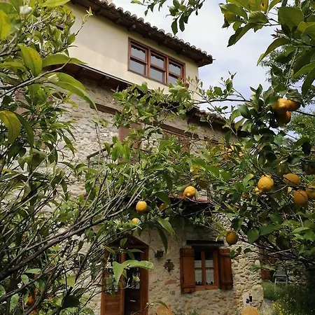 Villa Large Stone With Garden.