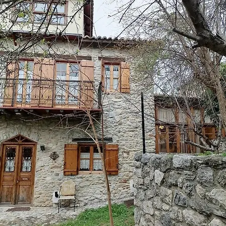 Large Stone With Garden.