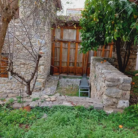 Large Stone With Garden.